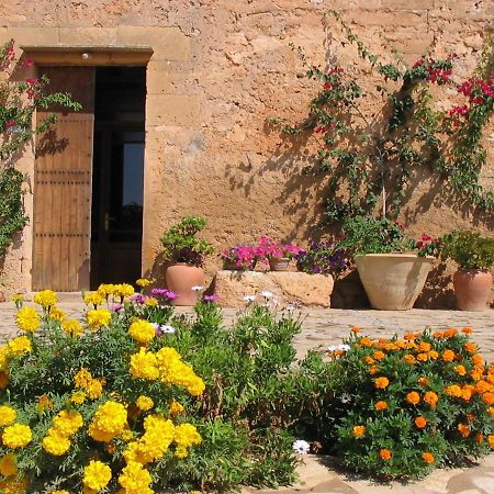 Finca Sa Cova Vella Манакор Екстер'єр фото
