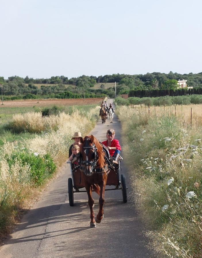 Finca Sa Cova Vella Манакор Екстер'єр фото