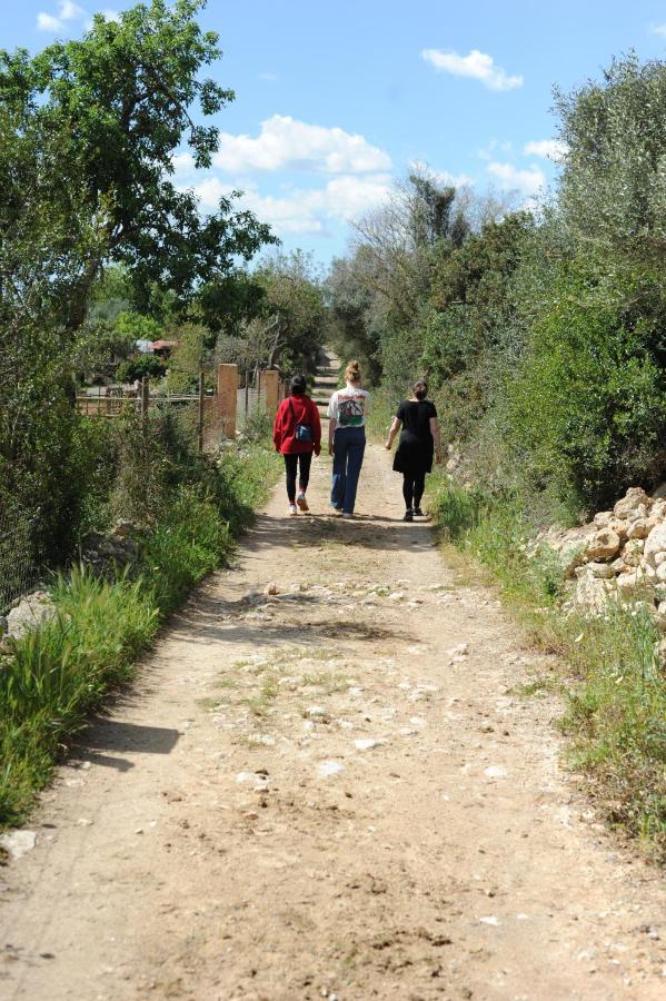 Finca Sa Cova Vella Манакор Екстер'єр фото