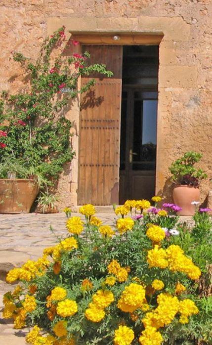 Finca Sa Cova Vella Манакор Екстер'єр фото