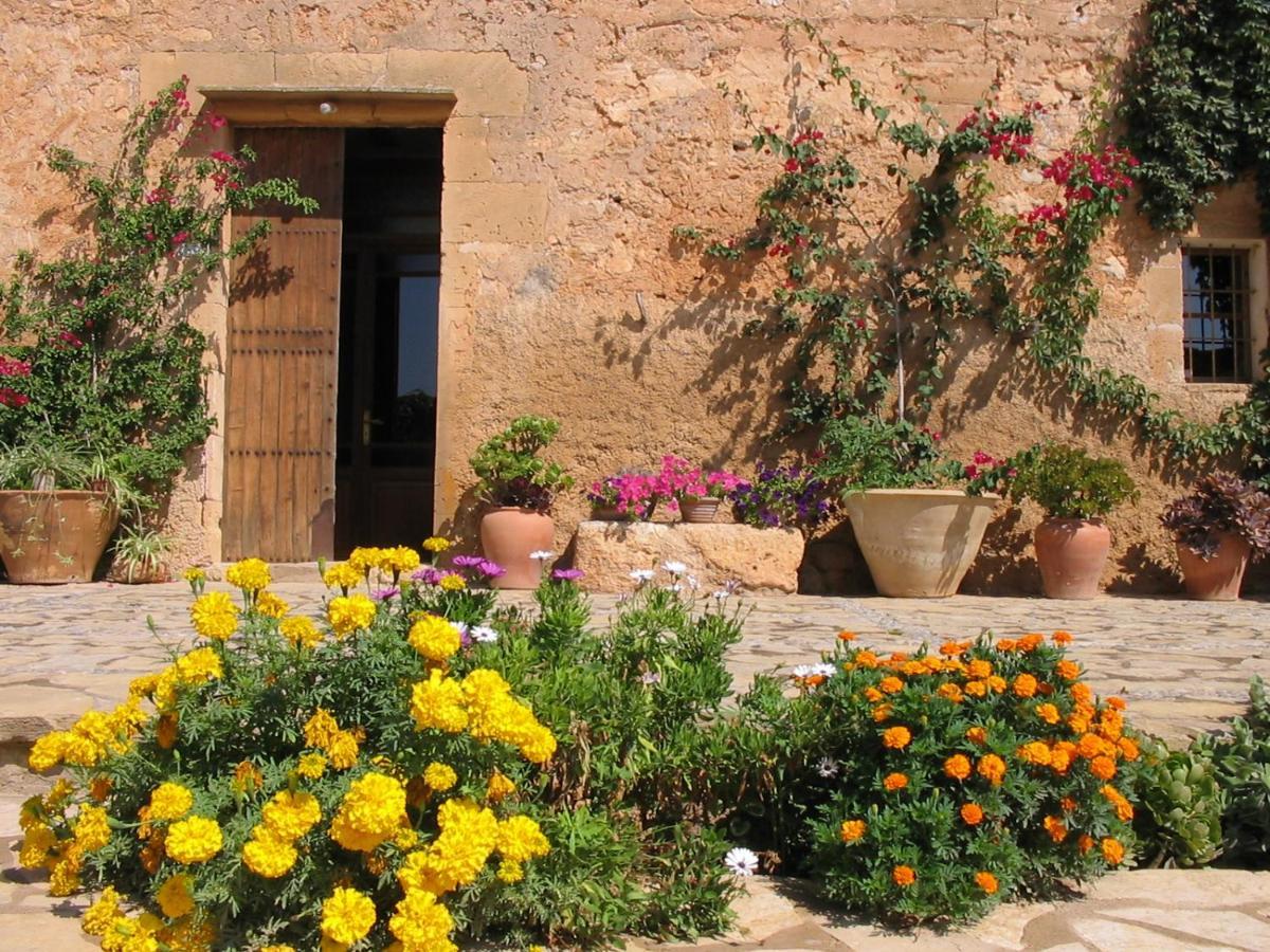 Finca Sa Cova Vella Манакор Екстер'єр фото