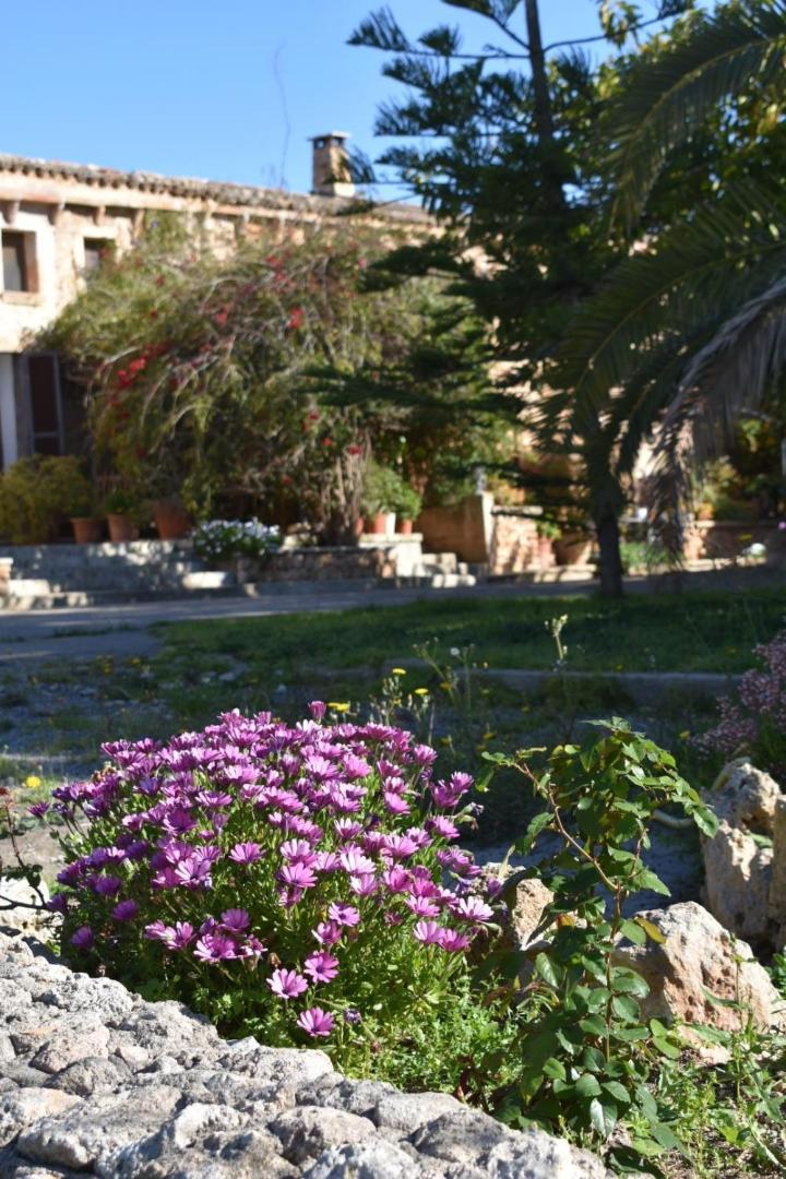 Finca Sa Cova Vella Манакор Екстер'єр фото