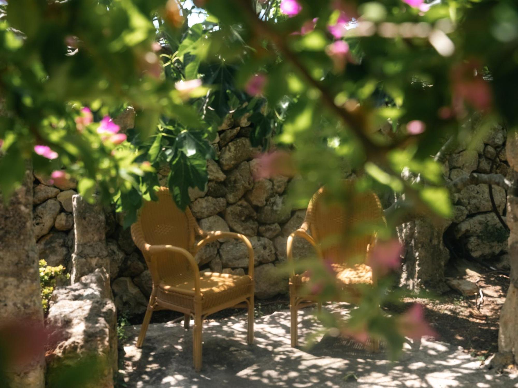 Finca Sa Cova Vella Манакор Екстер'єр фото