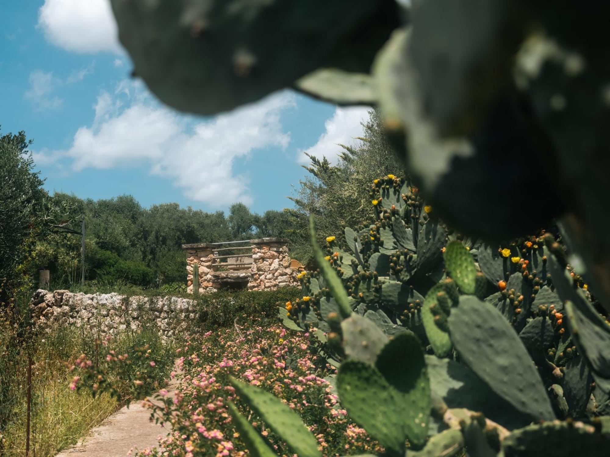 Finca Sa Cova Vella Манакор Екстер'єр фото