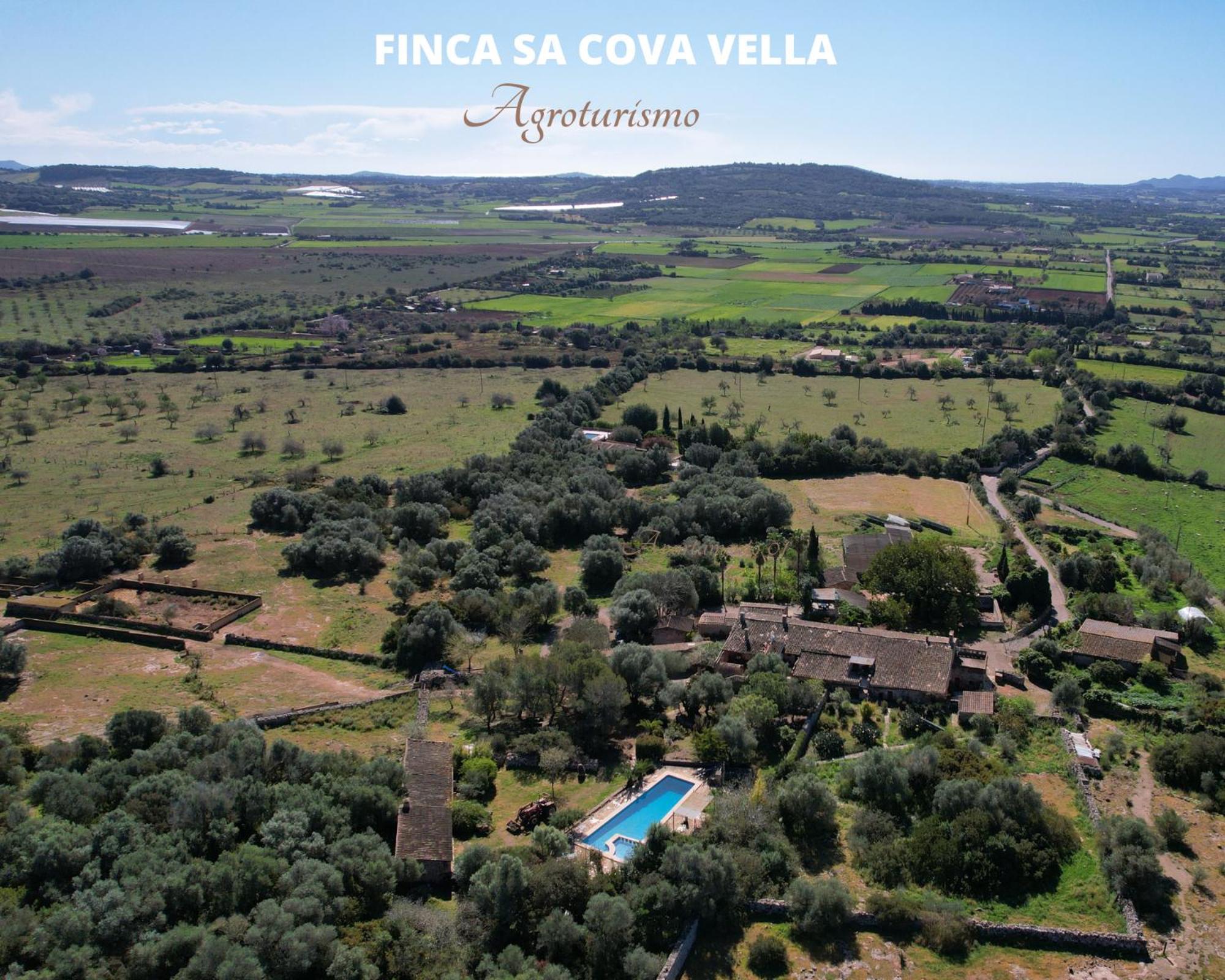 Finca Sa Cova Vella Манакор Екстер'єр фото